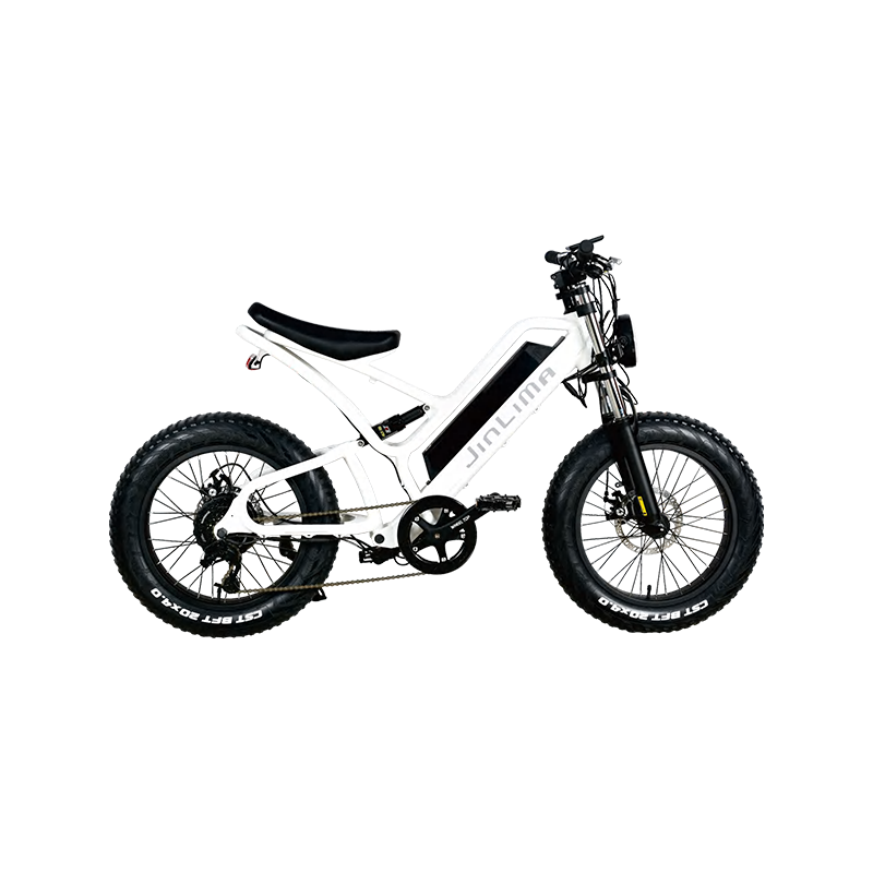市場で入手可能なeバイクの主なタイプは何ですか？