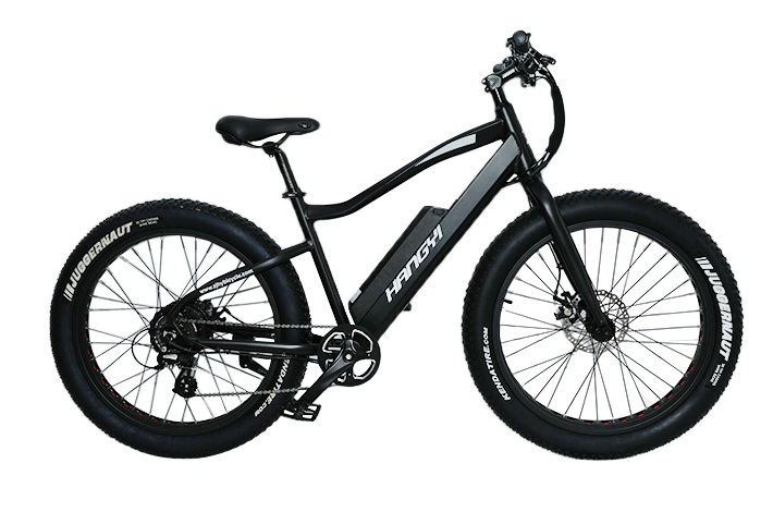 電気自転車は、将来的に好ましい輸送モードになる可能性があります
