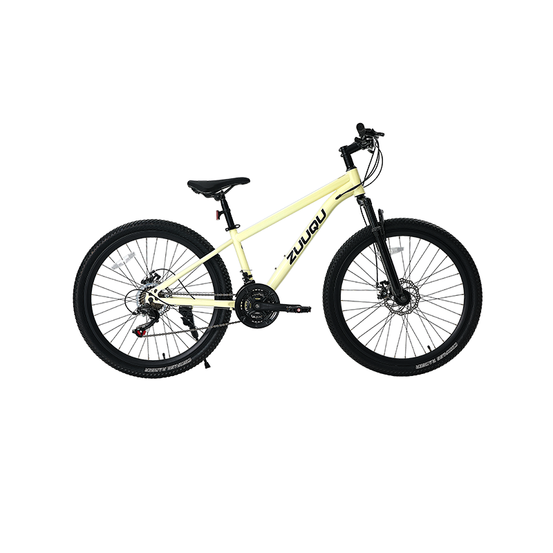 21スピードディスクブレーキ26 "MTB